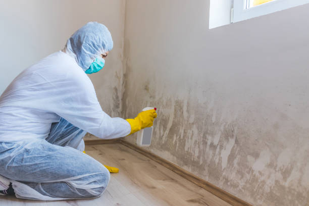 Hvac And Air Duct Mold Remediation inspection of HVAC system in Thomasville